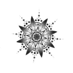 2C684063-36AC-40A9-A488-81F086893FE3.jpeg