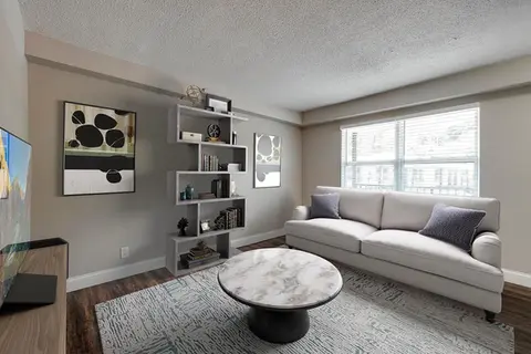 Cute, Staged Living Area with Natural Light