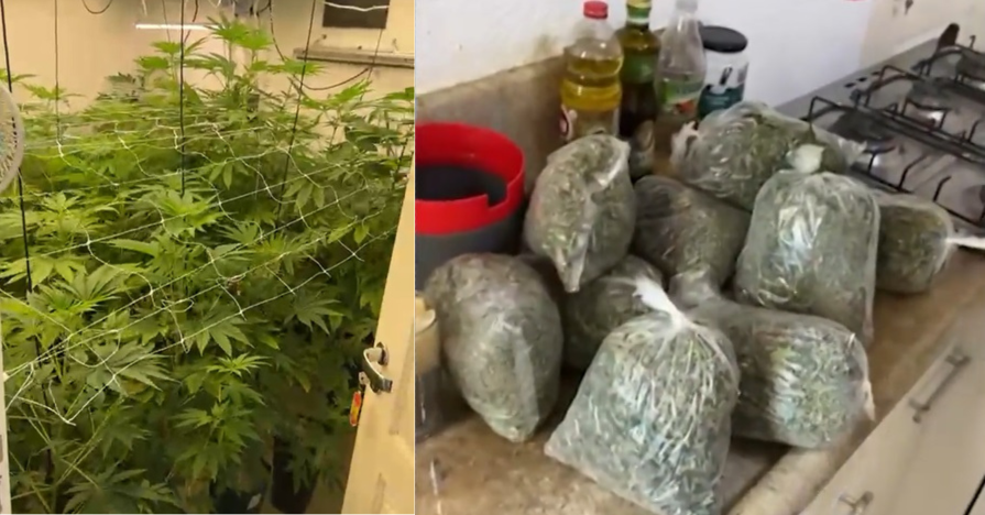 Residência ocultava laboratório para produção de maconha, em Atibaia.
