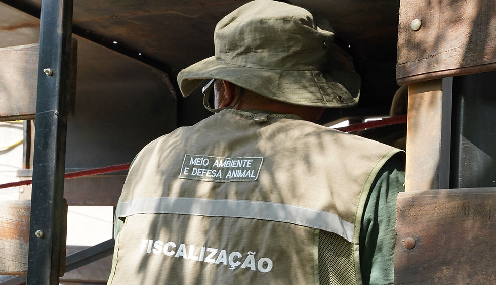 Secretaria de Meio Ambiente Atibaia