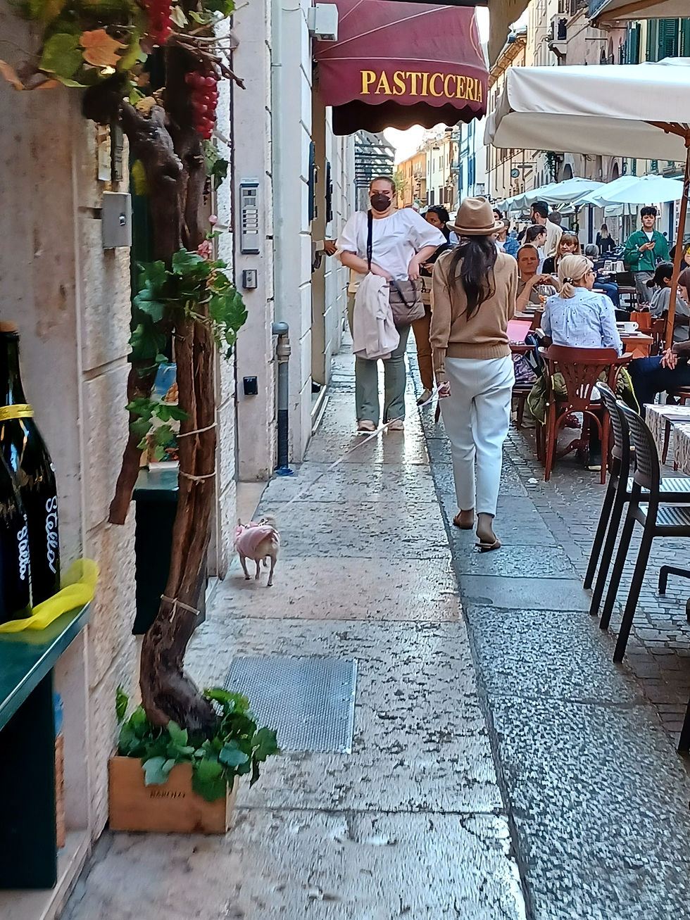Corso Porto Nuova in Verona with shoppers walking their dogs and cafes on the street.