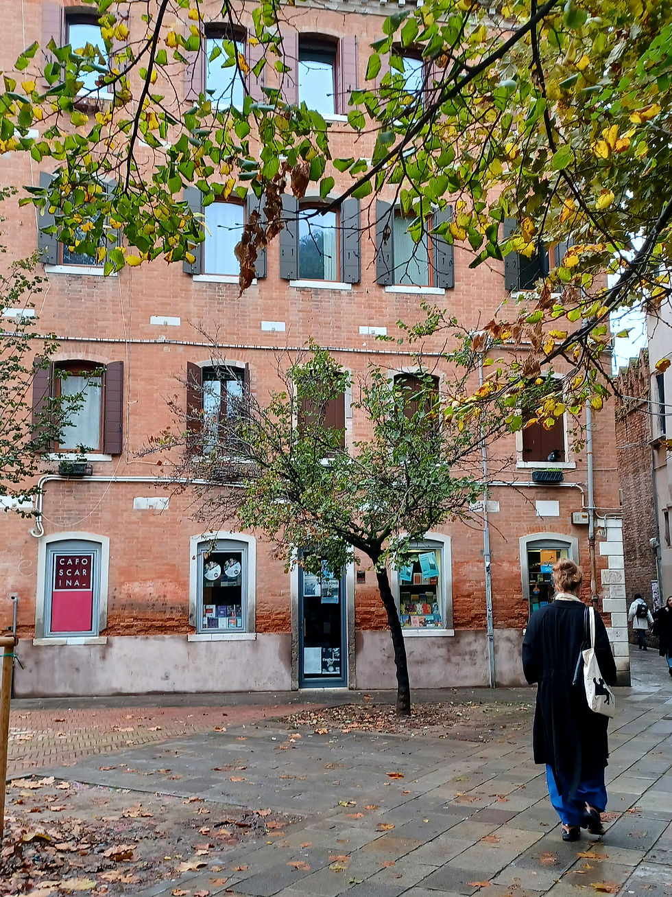 Leafy courtyard with old Venetian buildings and an autumnal tree