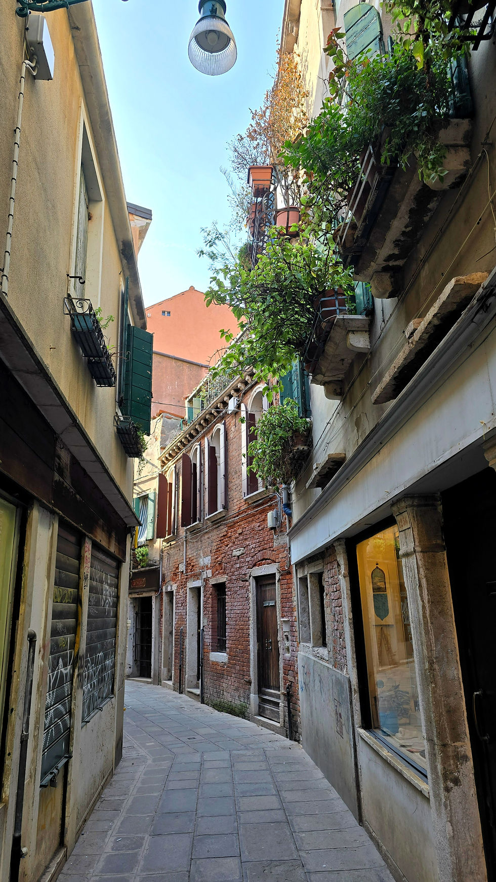 Empty venetian calle with old buildings and green plants