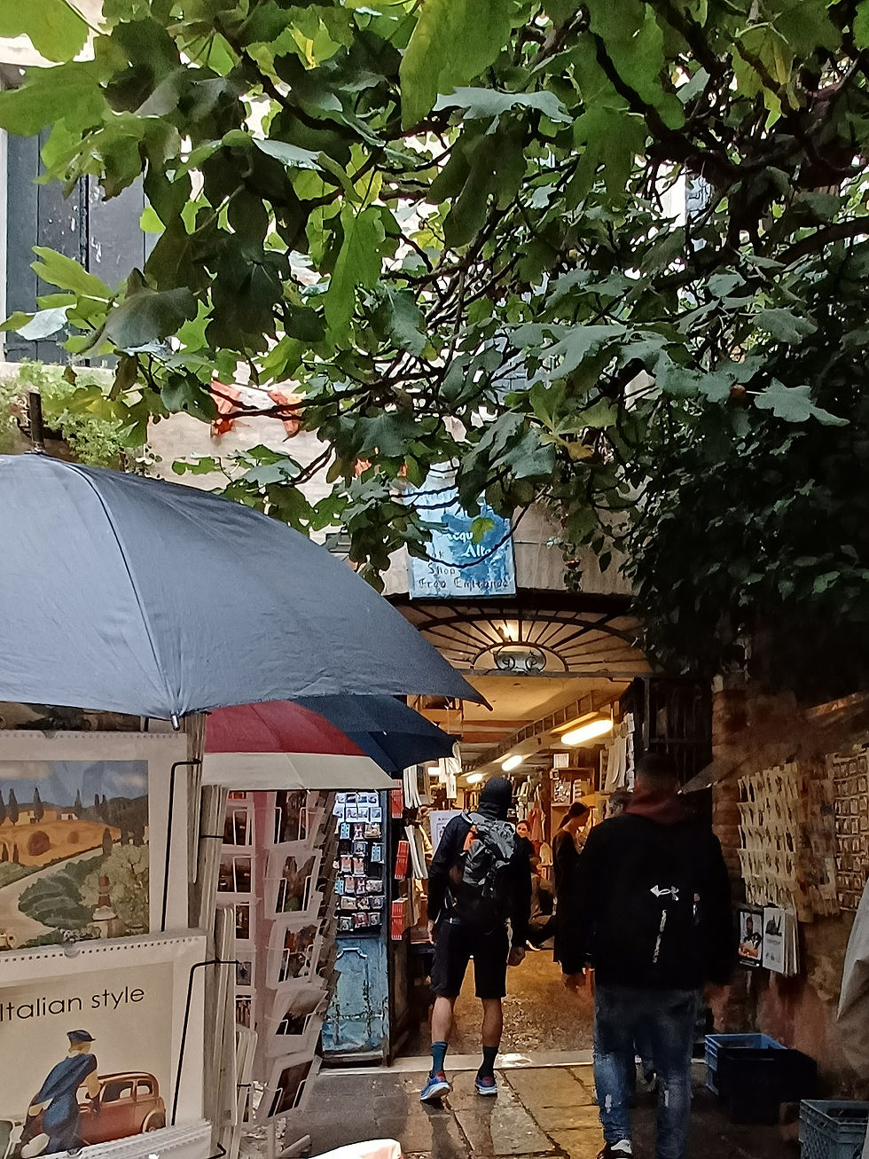 Bookshop front behind fig tree with cards on display