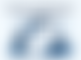 The New Era of Budget Control: From Oversight to Insight