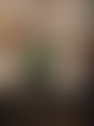 Bezirksmeisterschaft LG und LP