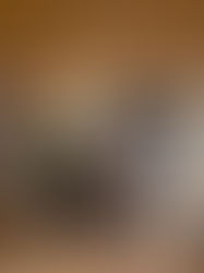 Vereinsmeisterschaft