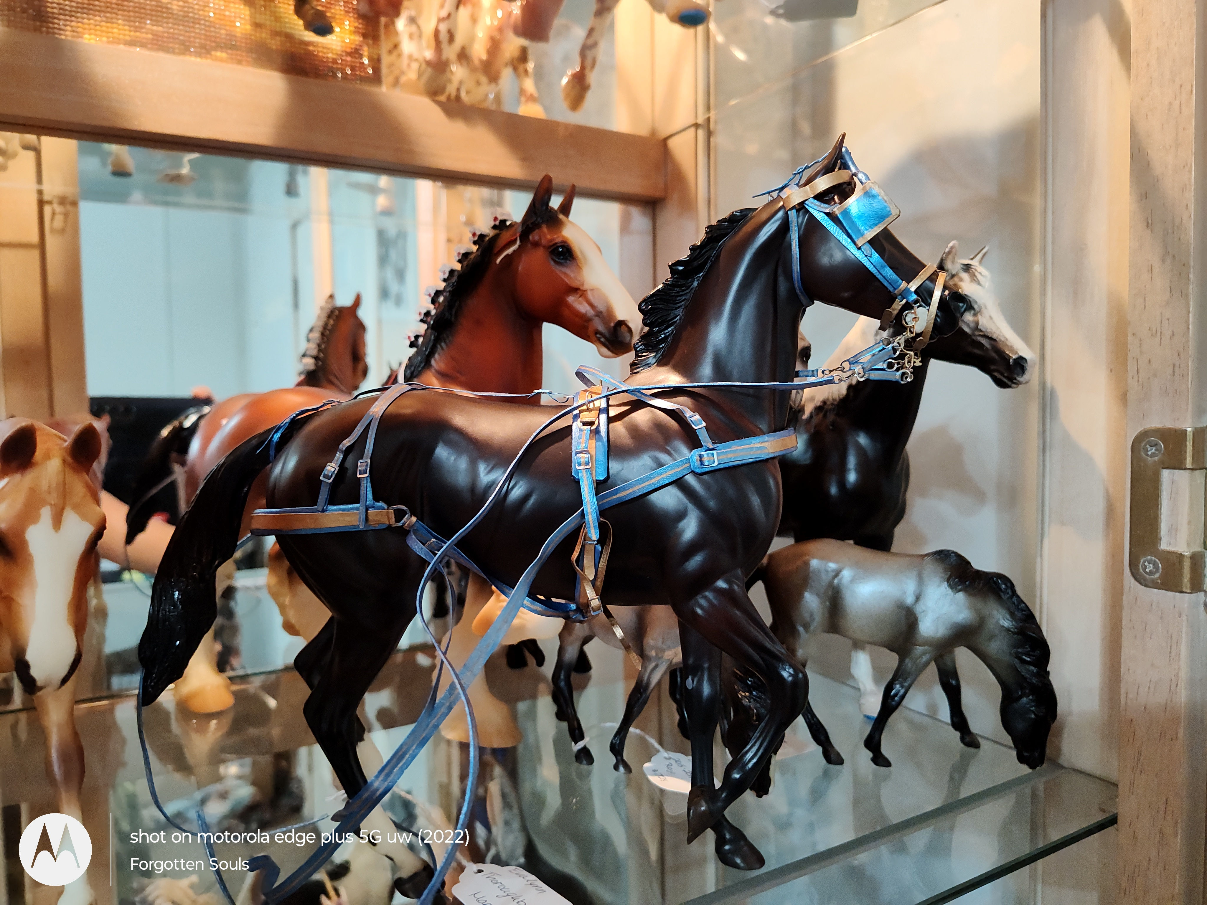 Traditional Light Harness