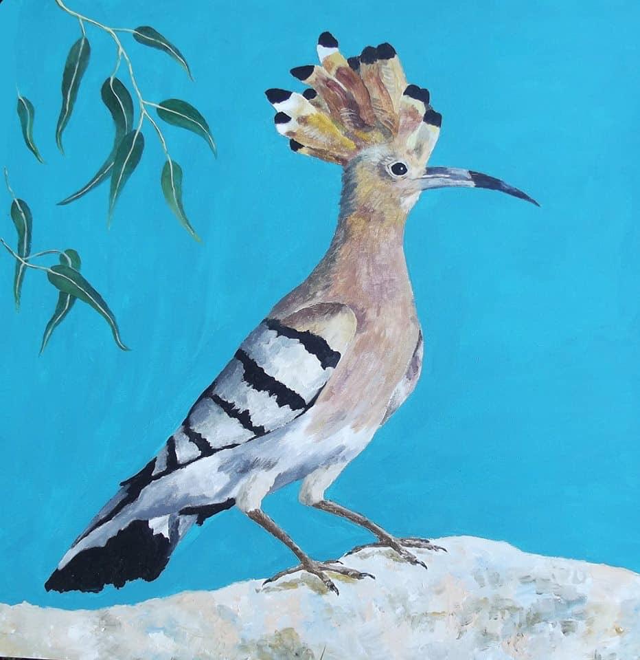 Ekaterina Khazina hoopoe