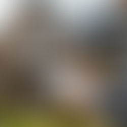 How Much Do You Really Need Saved to Buy Your First Home?