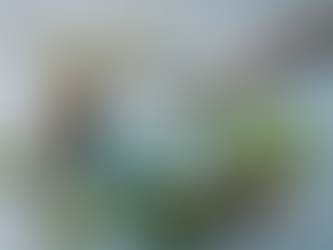 Effective Diabetes Management: Traditional vs. Alternative Medicine