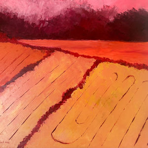 'Fields of Red', Oil on Canvas, 50 x 60 cm (Unframed)
