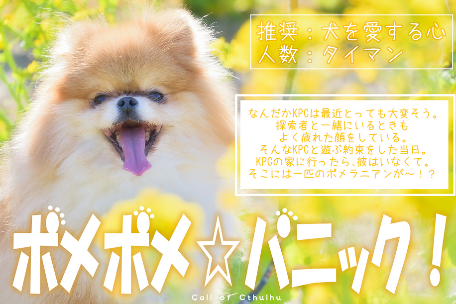 ポメ.png