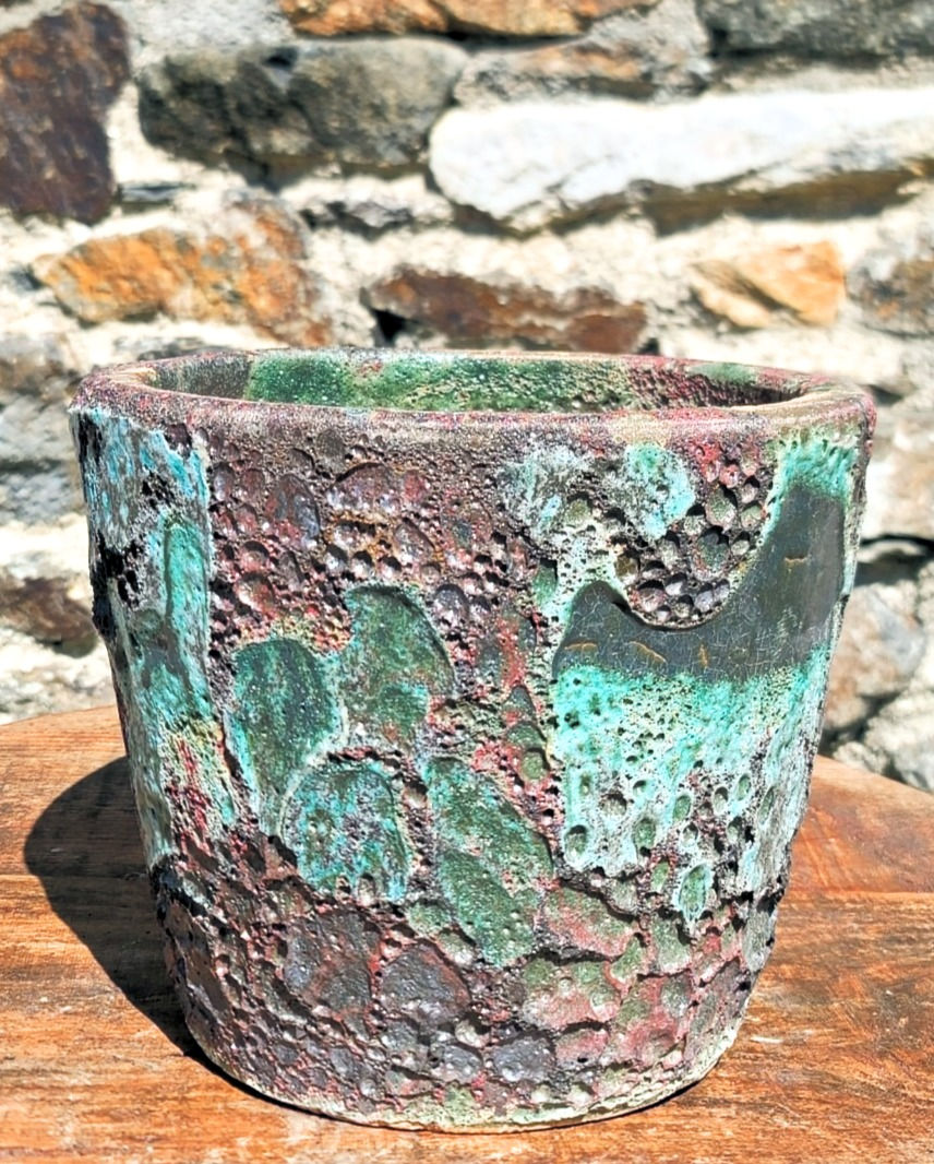 Émaillage des Algues