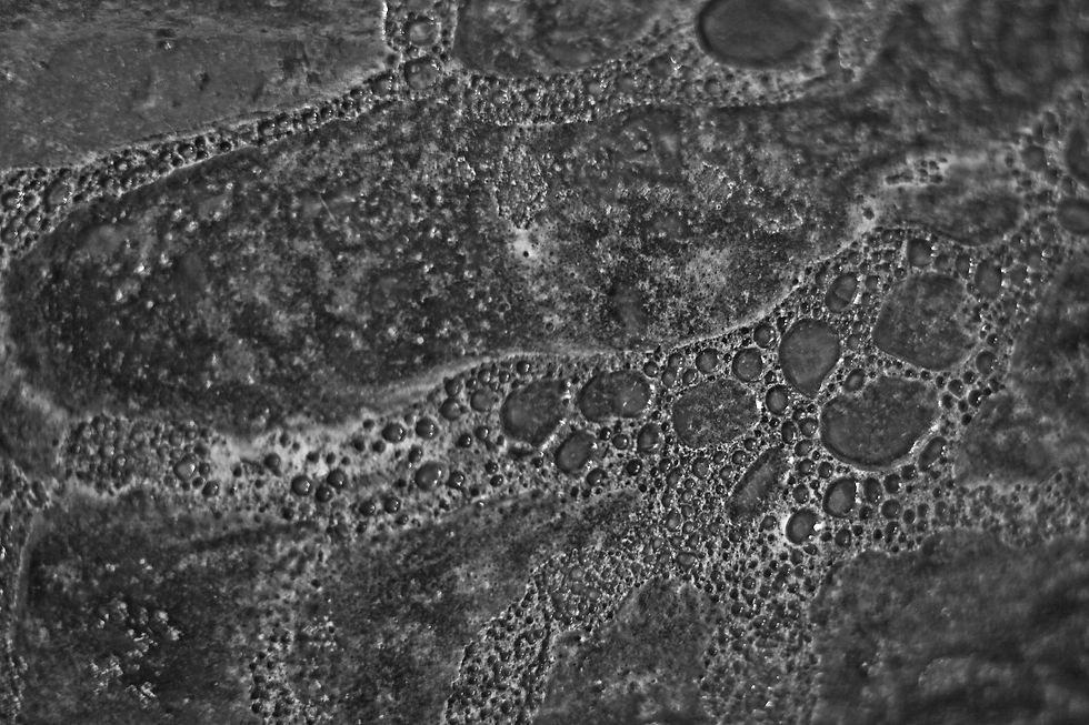 Atlantis Pattern.jpeg