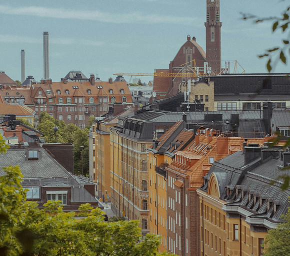 pexels-justinas-ribakauskas-926248479-26728551.jpg