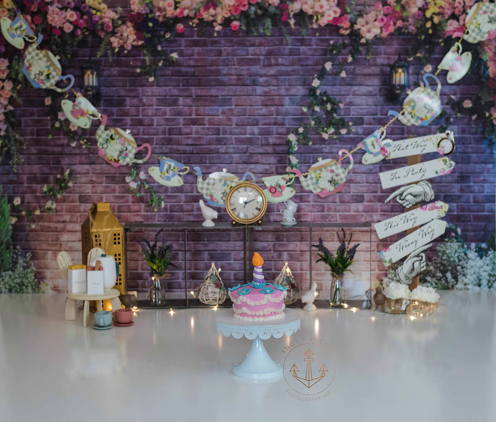 cake smash / first birthday photographer hampton roads va