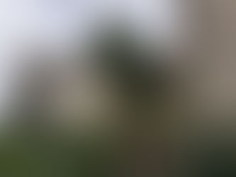 Dublin Will Be Written into My Heart