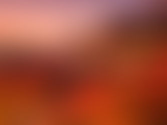 Osaka and Kyoto: The Beginning of a Dream Come True