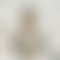 Colagem surrealista com mulher em silêncio simbólico, flores secas e linhas orgânicas representando contenção emocional e raiva reprimida.