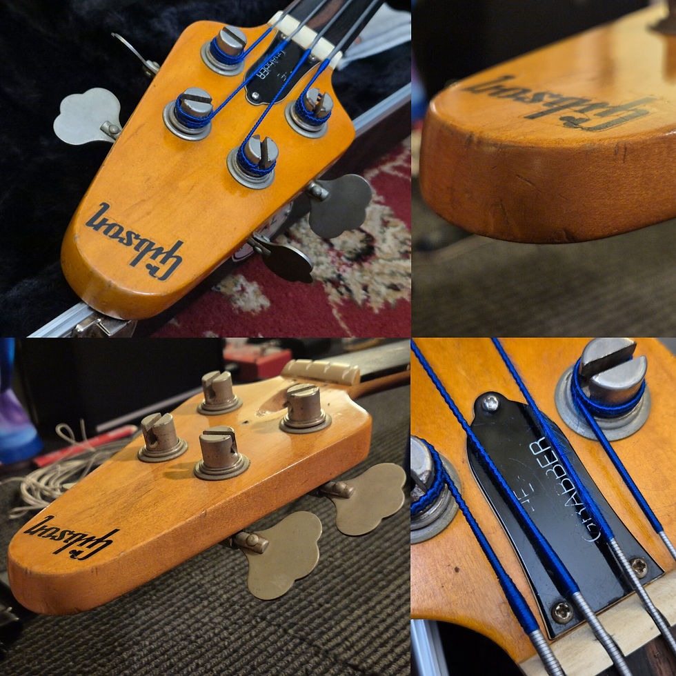 Thumbnail: ☆SOLD☆ Gibson Grabber Bass 1974 (Modified Fretless)