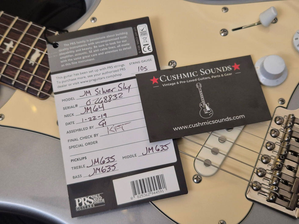 Thumbnail: PRS John Mayer Silver Sky Tungston 2018