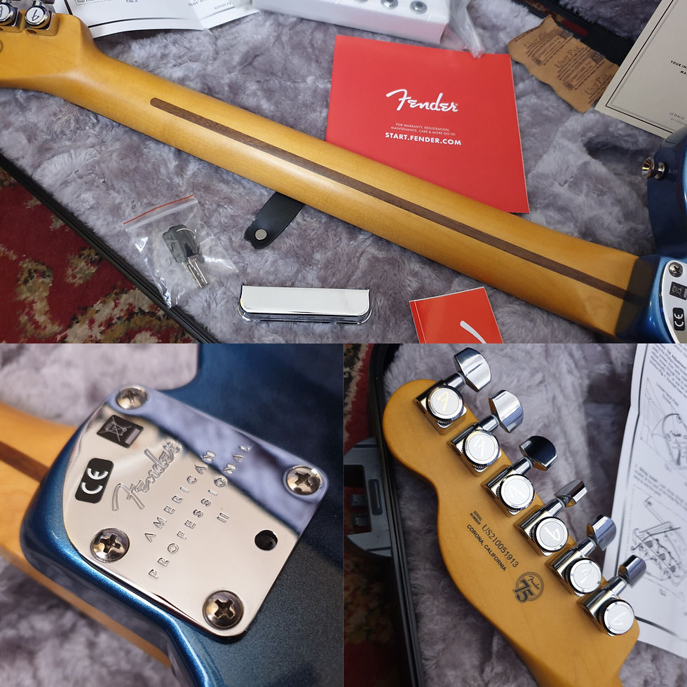 Thumbnail: ☆SOLD☆ Fender American Professional II Telecaster 2021 Dark Night