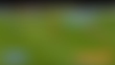 Crear marcas o categorías (Parte 2)