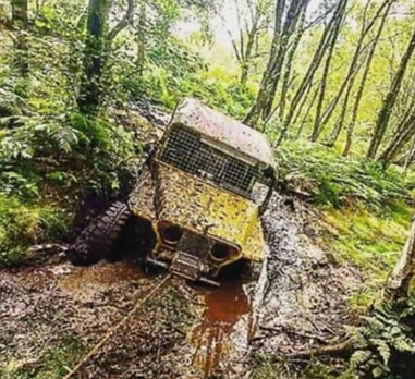 image1 (3)_edited.jpg