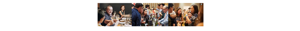 WIX web 2024 WDW (6).png