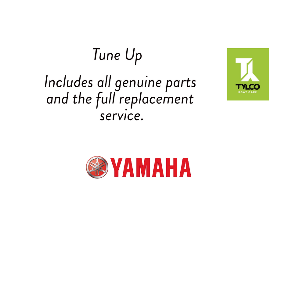 Thumbnail: Tune Up Yamaha Family F250 HP