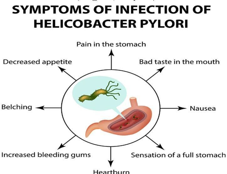 Thumbnail: Stomach Ulcer Test Kit Helicobacter H Pylori ANTIGEN Stool Test CE Marked