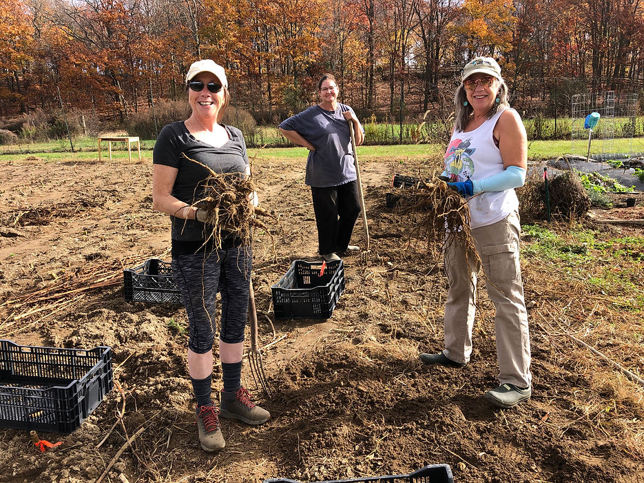 Cece melissa and cousin digging dahlias.jpg