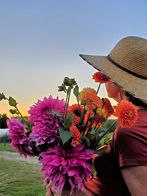 Linda at Sunset.jpg