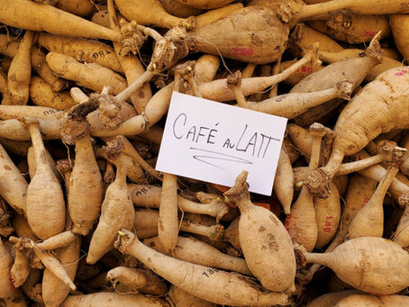when should I divide dahlia tubers