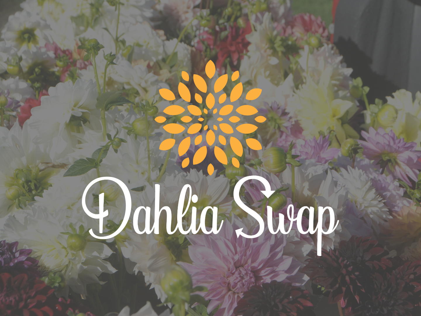 Dahlia Swap at Sunset View Farm