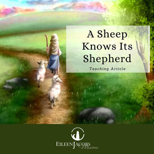 A Sheep Knows Its Shepherd