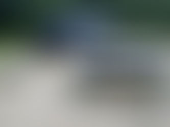 熊の話は何処へ行ったのやら
