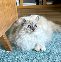 Nalani