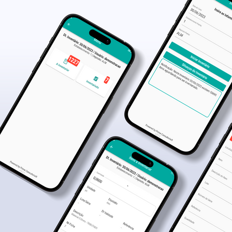 Simplifique seu inventário: Descubra a solução ideal para sua empresa. 