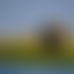 Supporting Conservation: A Safari with Purpose