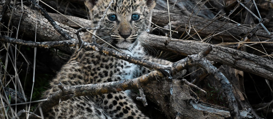 A Life Enriching Journey-Remarkable, Unexpected Namibia