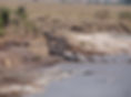 DDC06054.JPG