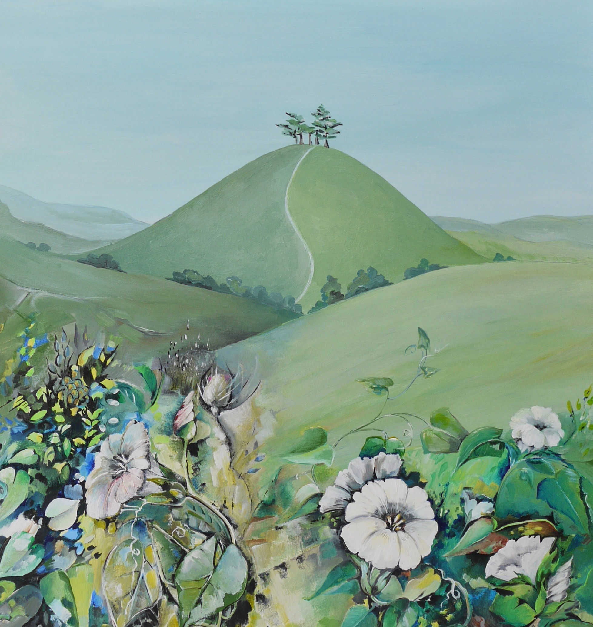 Convolvulus, Colmer's Hill  7X5 Greeting Card