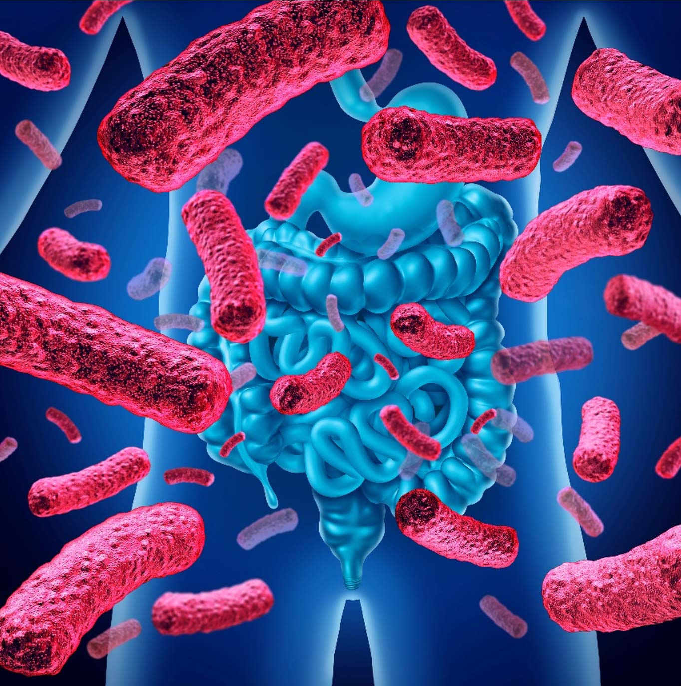 CONSULTATIONS MICROBIOTE