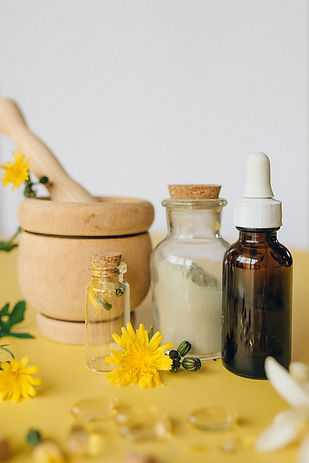 The french herbalist plant-based medicine bottles home.jpg