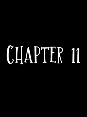 Chapter 11