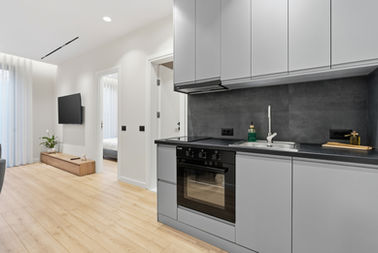 Modern kitchen and living room in apartment.