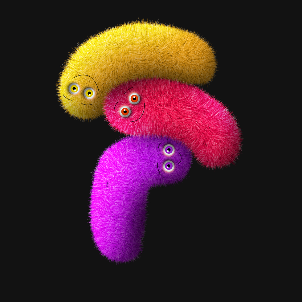 Furry Typography