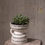 Thumbnail: Amazon Pot – Modern Boho Ceramic Planter (6” x 6”)